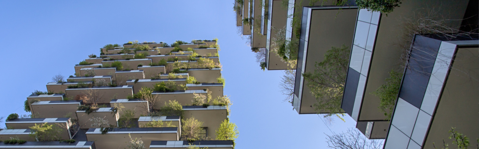 Residential Property Asset Management
